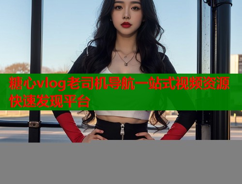 糖心vlog老司机导航一站式视频资源快速发现平台  第2张